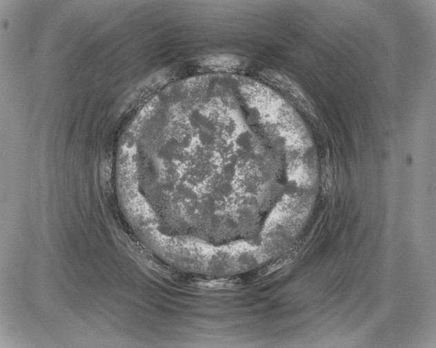 X0000086080365200704202157