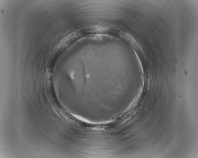 X0000086080366200704202157