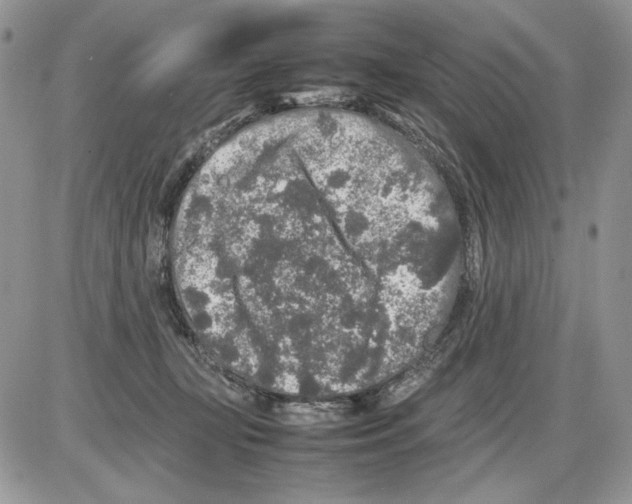 X0000086080367200704202157