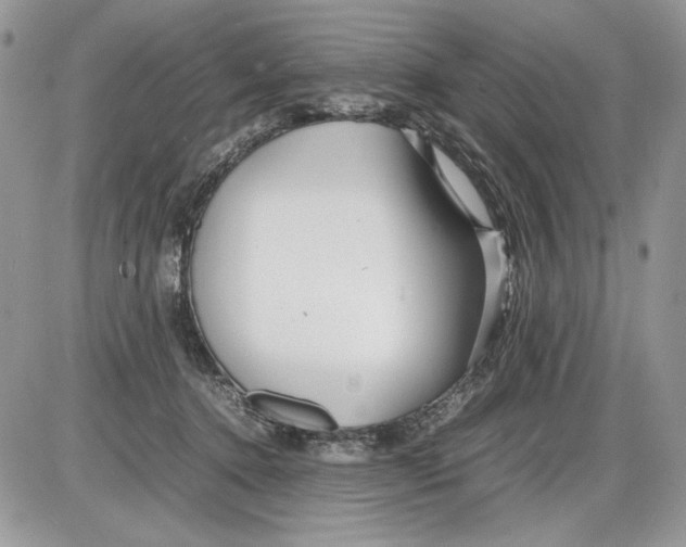 X0000086080368200704202157