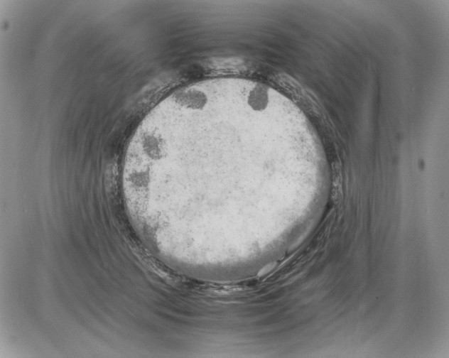 X0000086080369200704202157