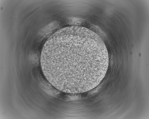 X0000086080370200704202157