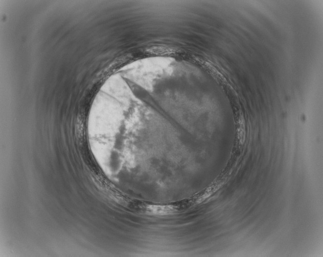 X0000086080371200704202157