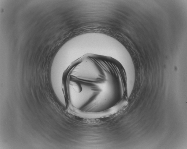 X0000086080372200704202157