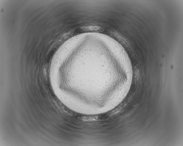 X0000086080373200704202157