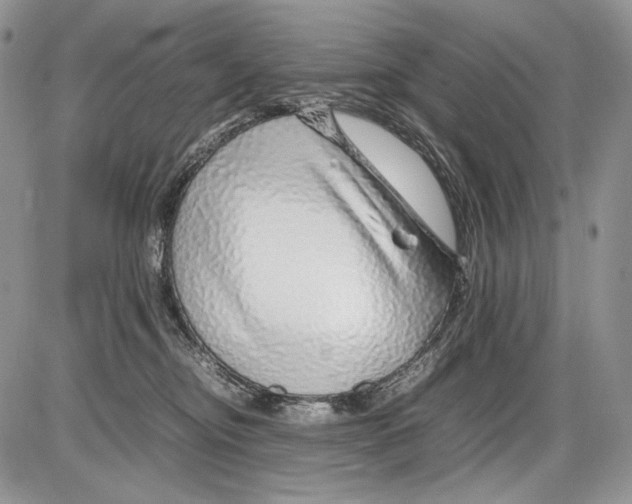 X0000086080374200704202157