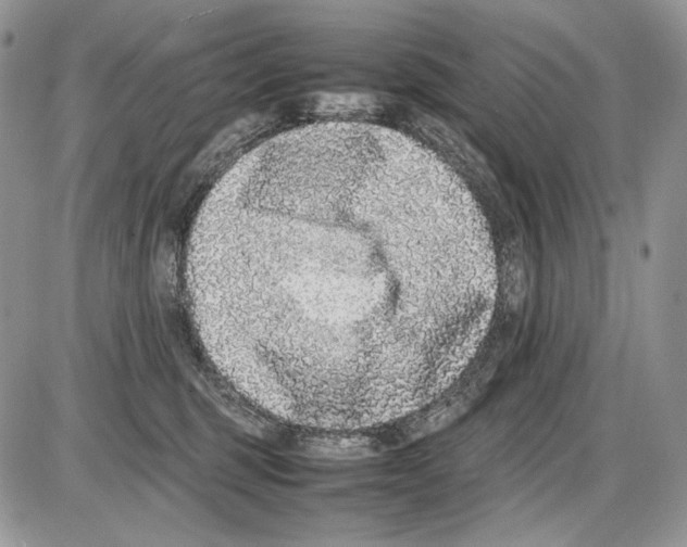 X0000086080375200704202157