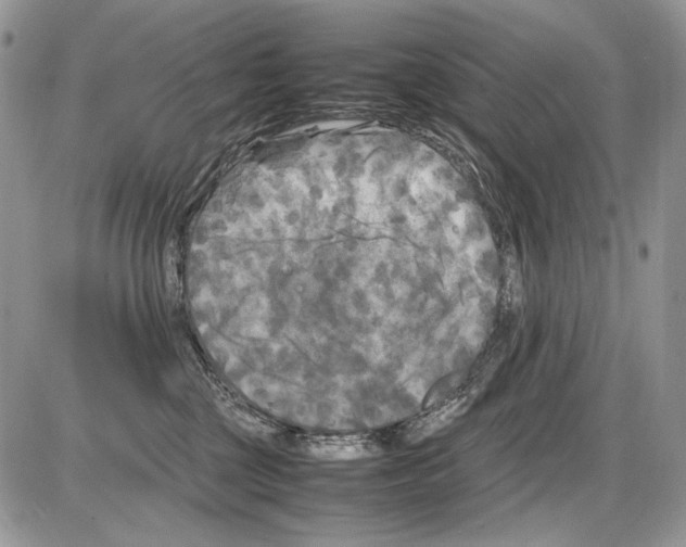 X0000086080377200704202157