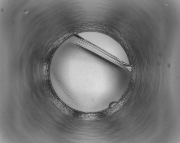 X0000086080378200704202157