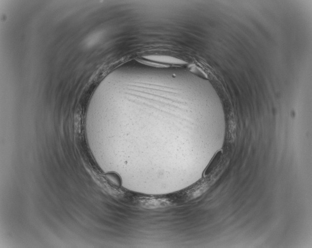 X0000086080379200704202157