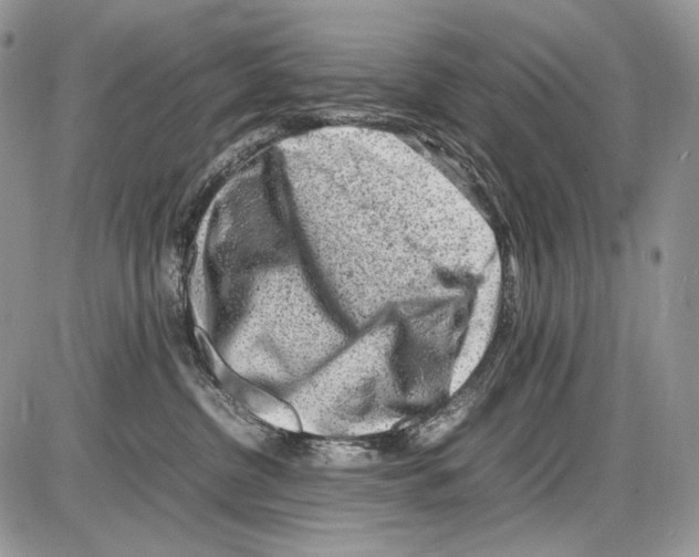 X0000086080380200704202157