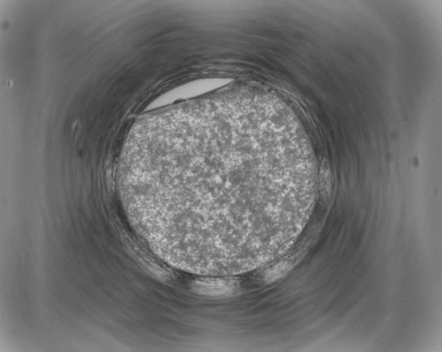 X0000086080381200704202157