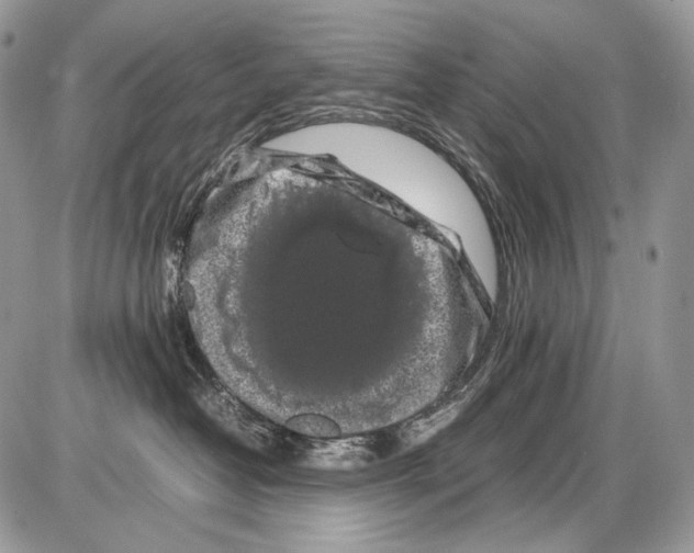 X0000086080382200704202157