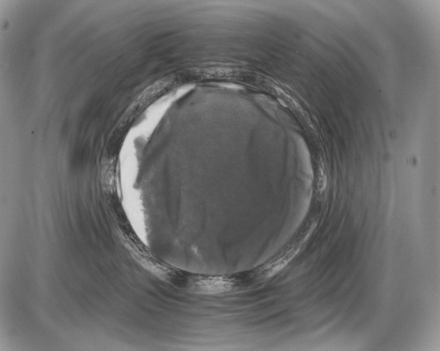 X0000086080383200704202157