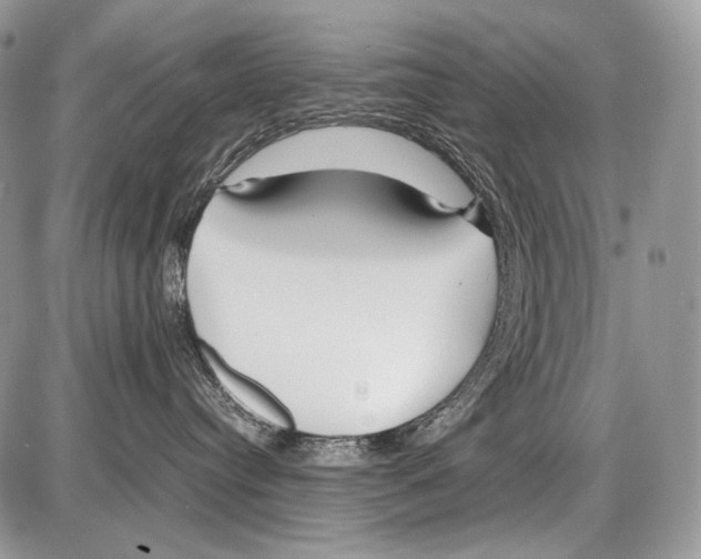 X0000086080384200704202157