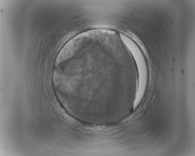 X0000086080385200704202156