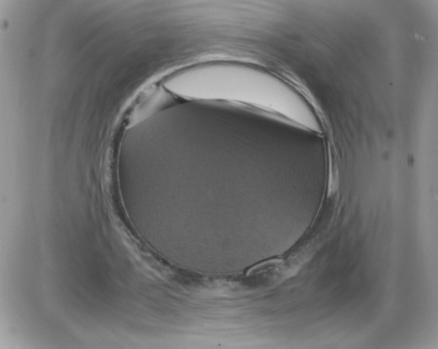 X0000086080387200704202156