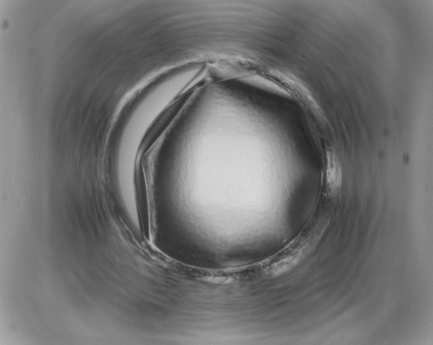 X0000086080388200704202156