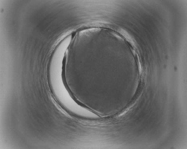 X0000086080389200704202156