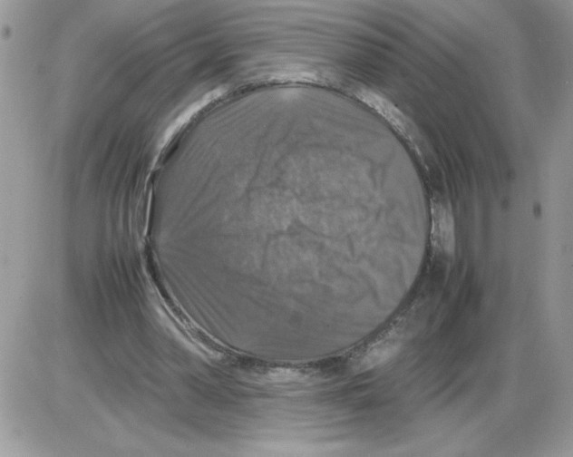 X0000086080390200704202156