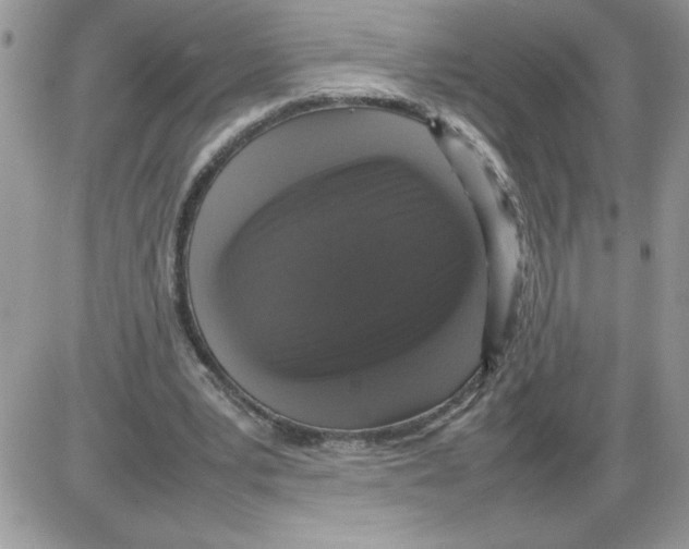 X0000086080391200704202156