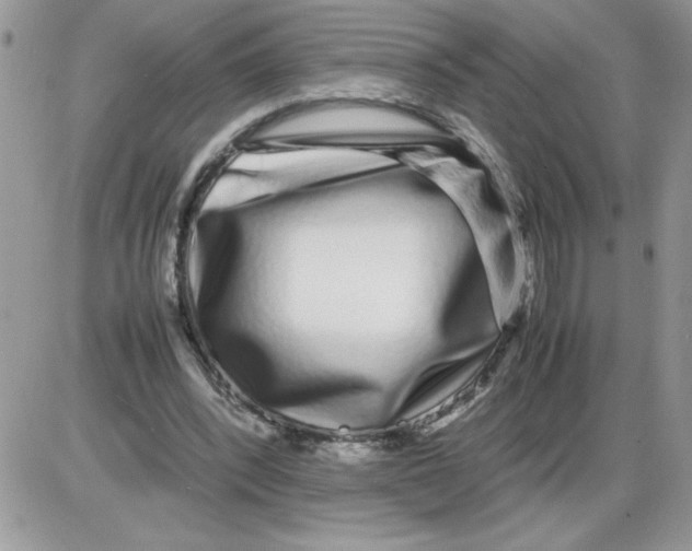 X0000086080392200704202156