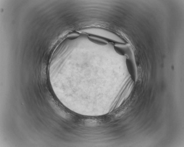 X0000086080394200704202156