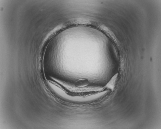 X0000086080395200704202156