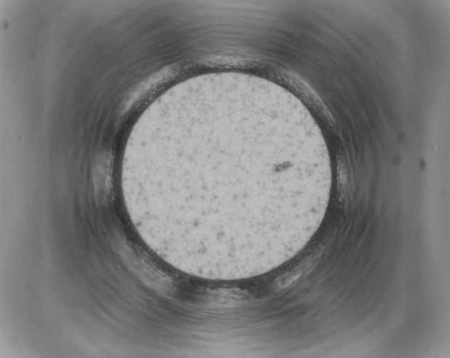 X0000086080396200704202156