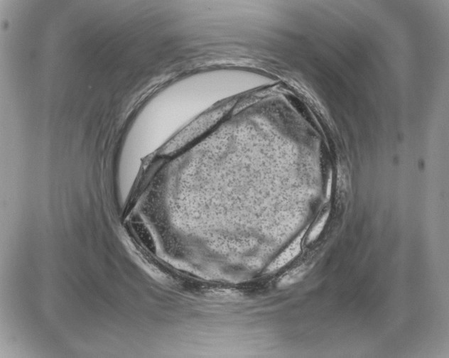 X0000086080397200704202156