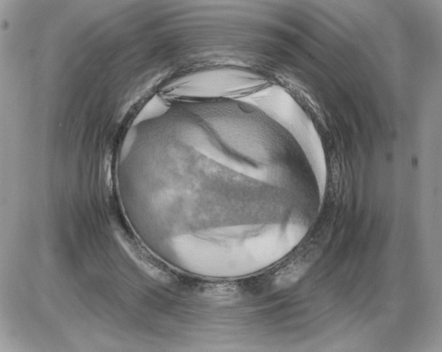 X0000086080398200704202156