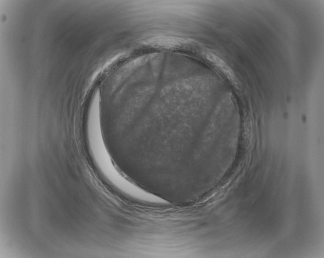 X0000086080399200704202156