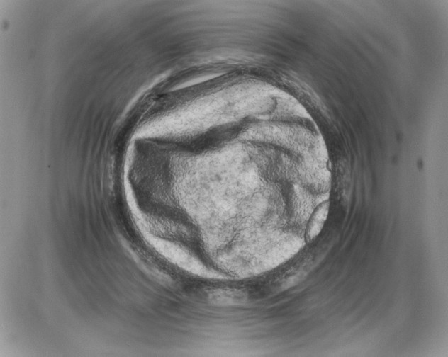 X0000086080400200704202156