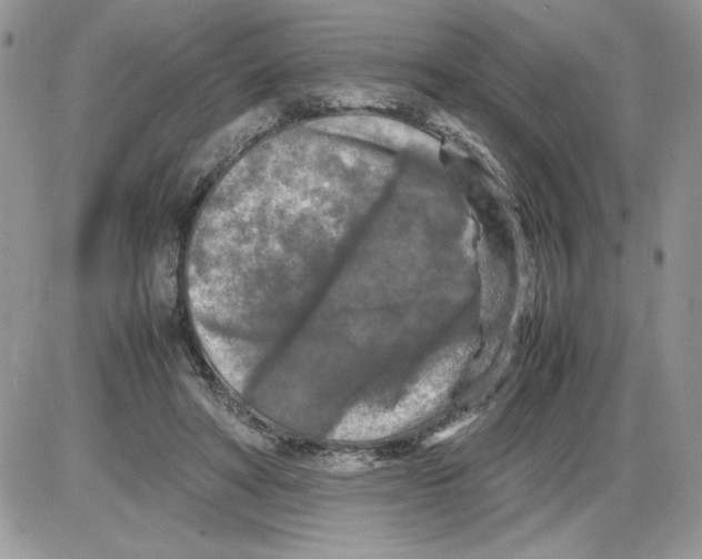 X0000086080402200704202156