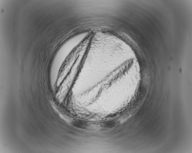 X0000086080405200704202156