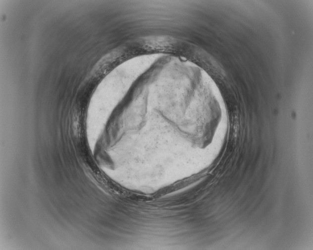 X0000086080408200704202156