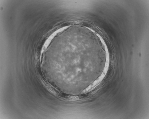 X0000086080409200704202156