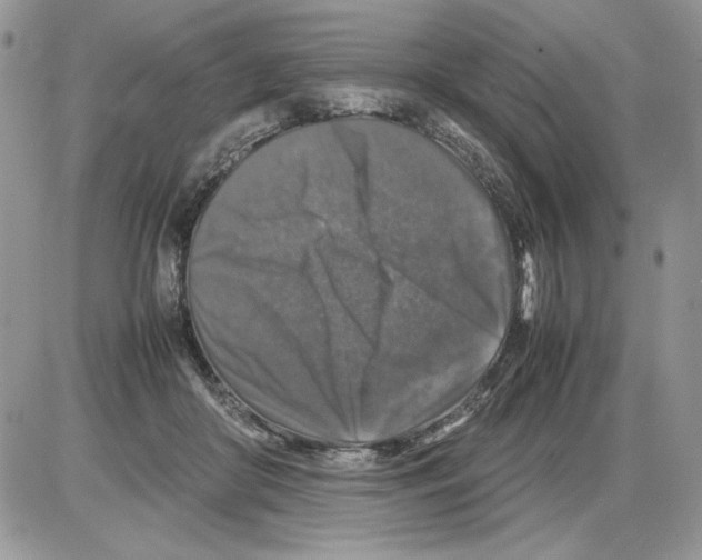 X0000086080410200704202156