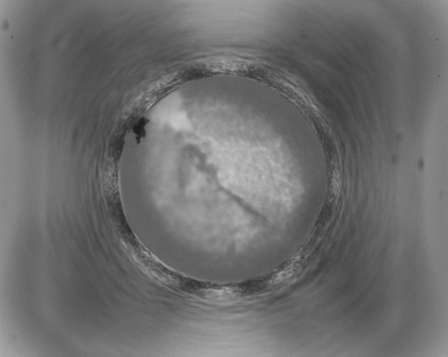 X0000086080411200704202156