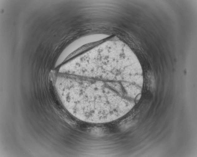 X0000086080412200704202156