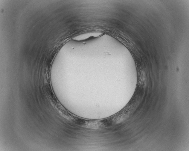 X0000086080414200704202156