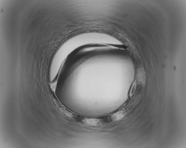 X0000086080417200704202156