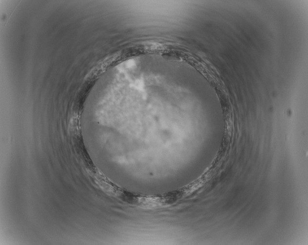 X0000086080419200704202156