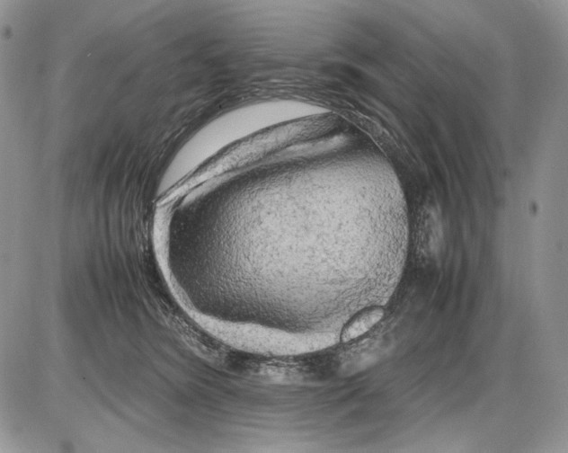 X0000086080420200704202156