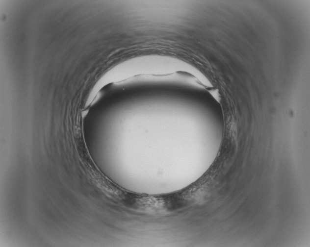 X0000086080421200704202156