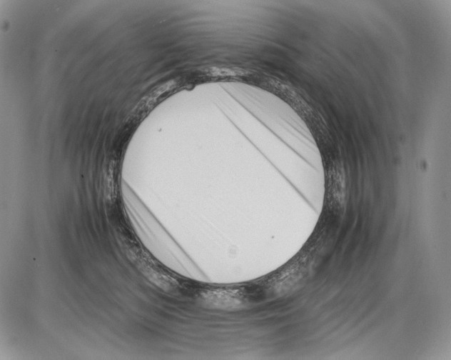 X0000086080422200704202156