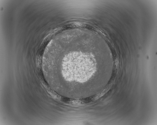 X0000086080423200704202156