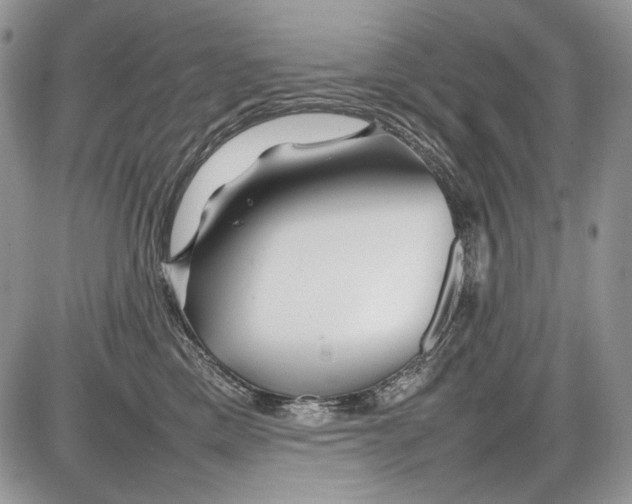 X0000086080425200704202156