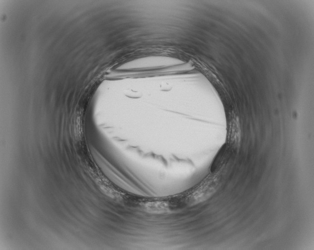 X0000086080426200704202156