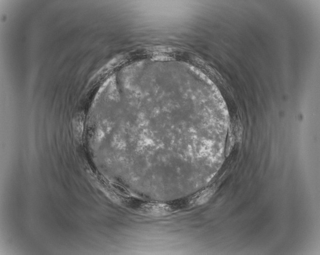 X0000086080427200704202156